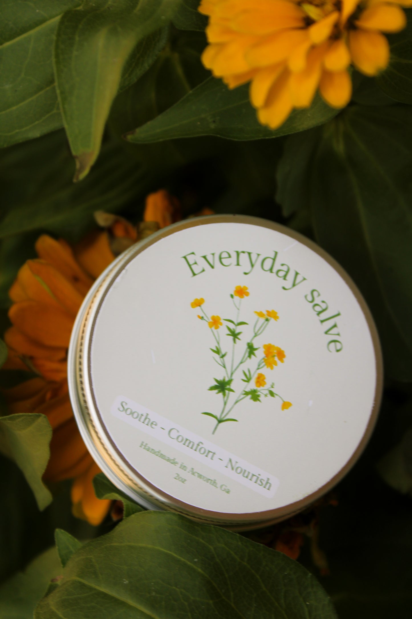 Everyday Salve