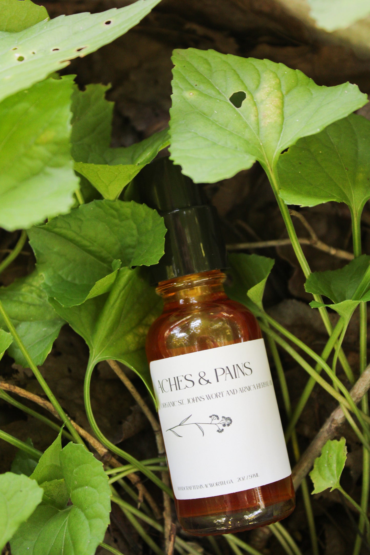 Aches and Pains Herbal Oil