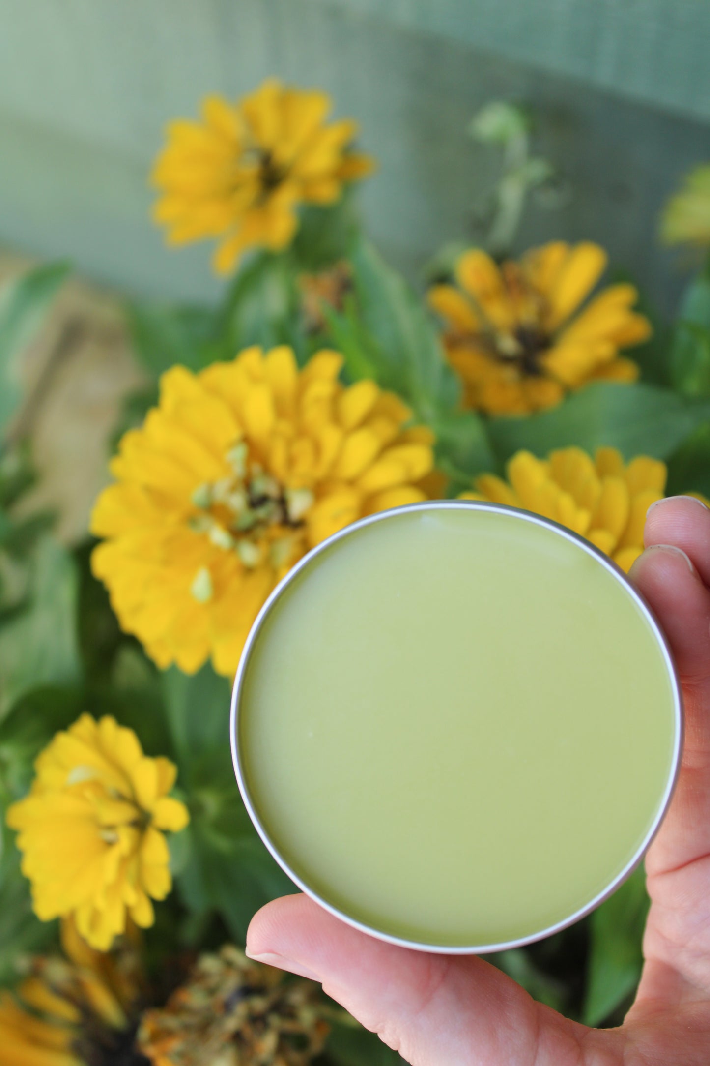 Everyday Salve