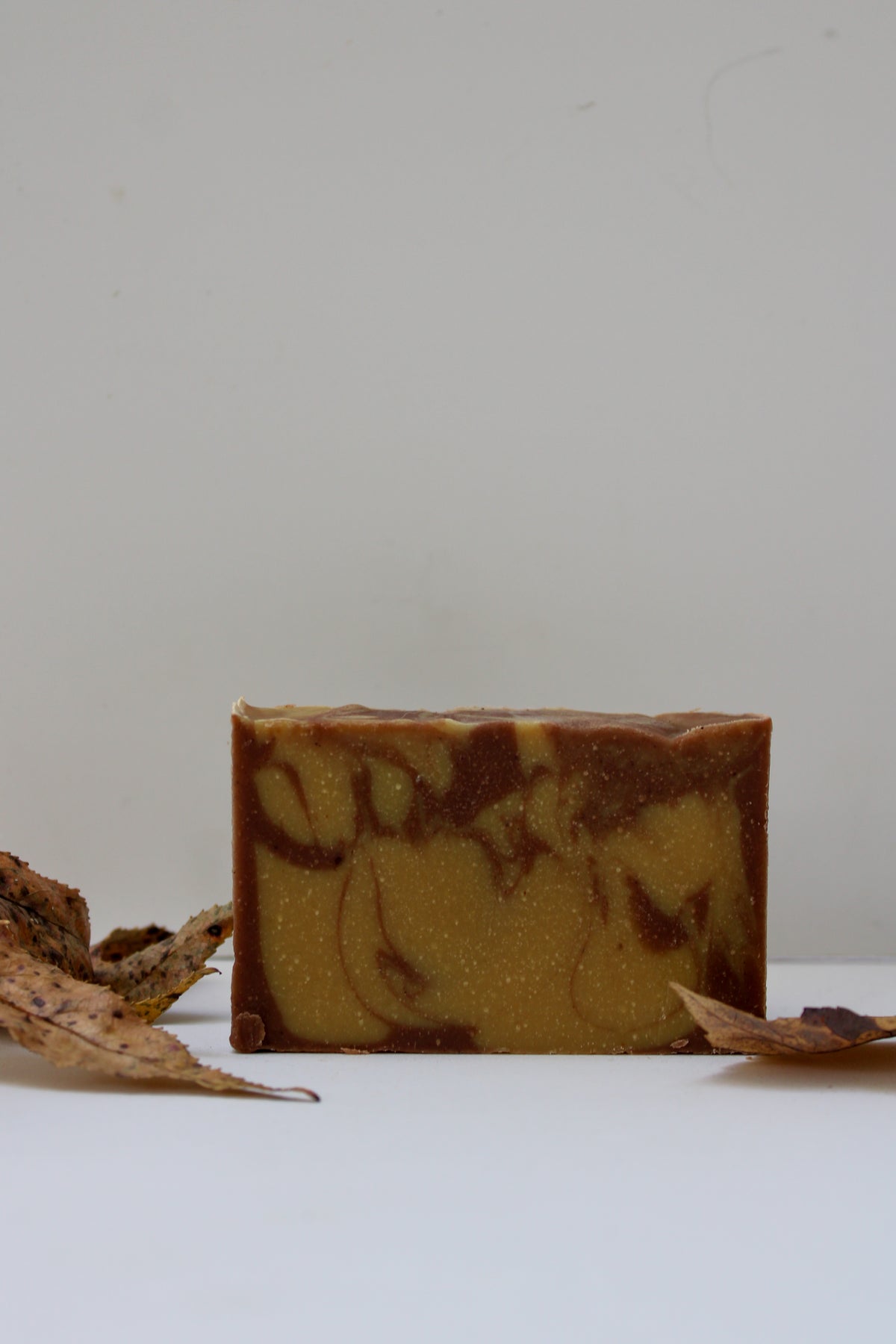 Autumn Spice Seasonal Soap Bar