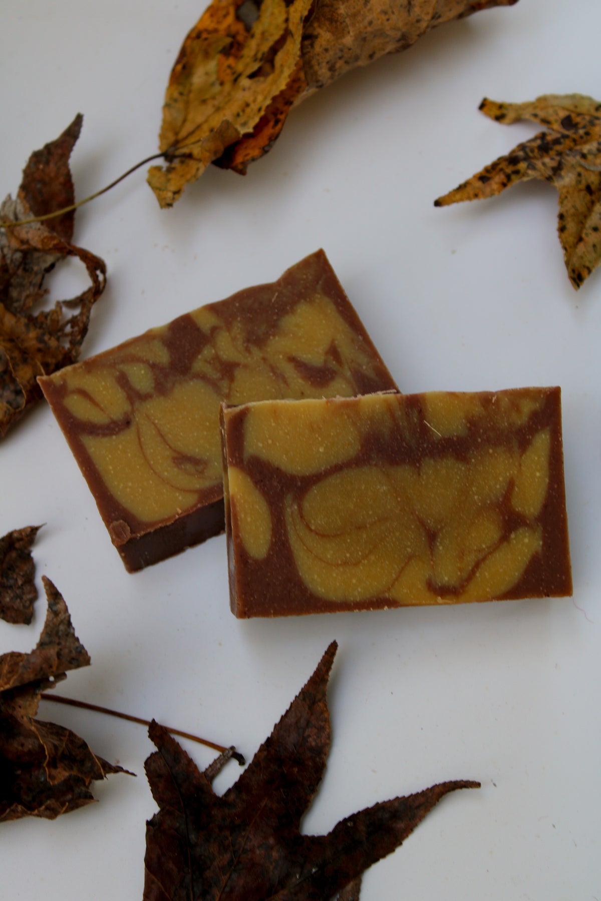 Autumn Spice Seasonal Soap Bar